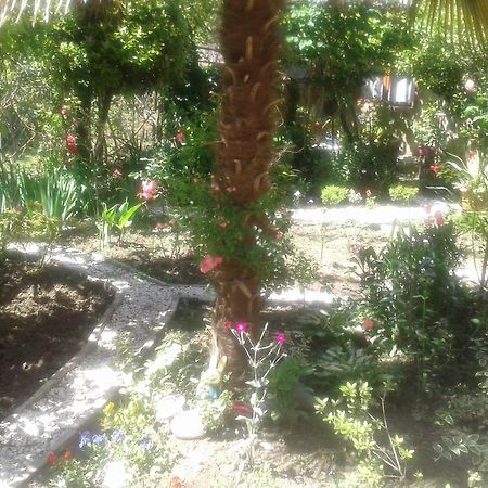 Centr Daire Kutaisi Dış mekan fotoğraf